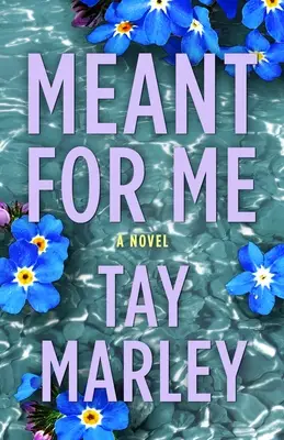 this texas smalltown romance will give you all the feels in Tay Marley's Meant For Me novel.